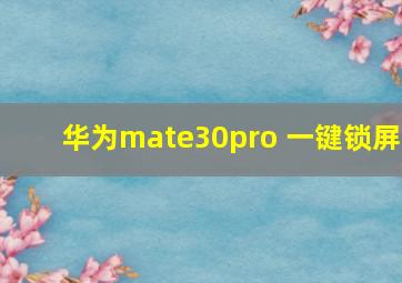 华为mate30pro 一键锁屏